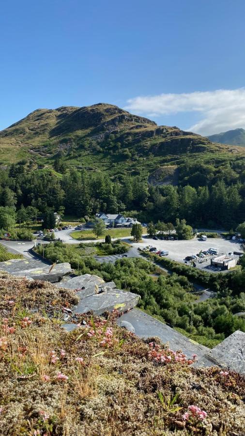 Plas Weunydd Hotel 4*